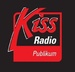 Hit Radio Publikum Logo