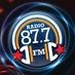 Danu Radio 87.7 - WNYZ-LP Logo