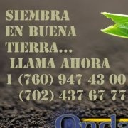 88.9 Ondas de Vida - K205DK Logo