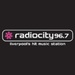 radio City devadesátka Logo