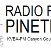 Radio PineTree Logo