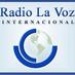 Radio la voz internacional Logo