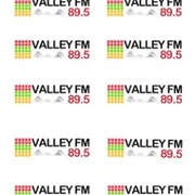 Valley FM - 1VFM Logo