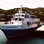 CJDS Logo