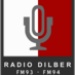 Radio Dilber FM93 Charsadda Logo