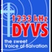 1233 DYVS - DYVS Logo