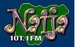 Naija FM UK 101.1 Logo