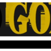 The Game - WPSN Logo