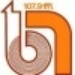 Radio Buena Nueva 106.3 Logo