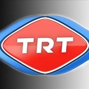 Voice Of Turkey Logo