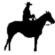 Country Radio Logo