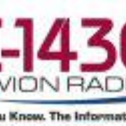 WION Logo