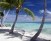 Oldies Paradise Internet Radio Logo