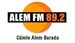 Alem FM Logo