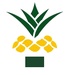 Ananaz Radio Logo