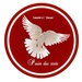 Radio Paindusoir - Radio PDS Lingala 2 Logo