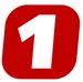 Radio Number One Logo