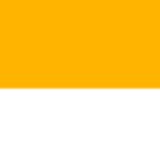 FM Azul Y Oro Logo