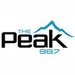 98.7 The Peak - 80s Channel Logo