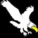 Eagle 98.7 - WEMR Logo