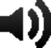 Radio 95 FM Logo