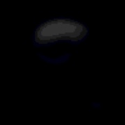 APMRS Logo