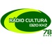 Rádio Cultura Pelotas 1320 Logo