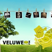 Veluwe FM Logo
