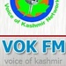 VOK FM Logo