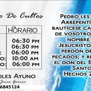 Ipuc Camelias Radio Logo