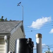NOAA Weather Radio - WNG541 Logo