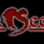 Dark Section Radio Logo