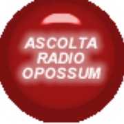 Radio Opossum Logo