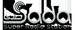 Radio Sada Station Logo