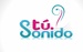 XEEV - Festival Estéreo Logo