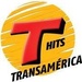 Rádio Transamérica Pop (Rio de Janeiro) 101.3 Logo