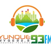 Yunque 93 - WYQE Logo
