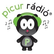 Picur Radio Logo