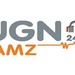 Urban Gospel Network Logo