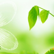 Jilin Health  Entertainment Radio 1019 Logo
