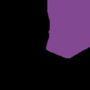 Raje 90.3 Logo