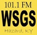 WSGS Logo