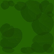 Froggy 95 - WFGI-FM Logo