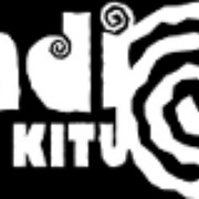 Radio Bez Kitu Logo