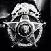 Transylvania County Law Enforcement Logo
