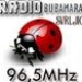 Radio Bubamara Svrljig Logo