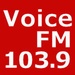 1039 Voice FM Logo