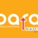 Bafa Radio Logo