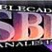 SBN Network Logo