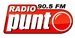 Radio Punto Logo